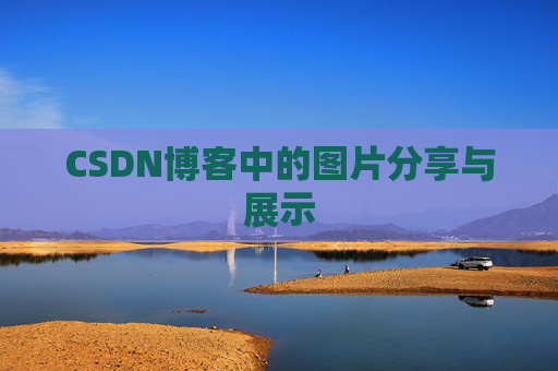 CSDN博客中的图片分享与展示